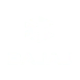 bajaj-seeklogo.com-1